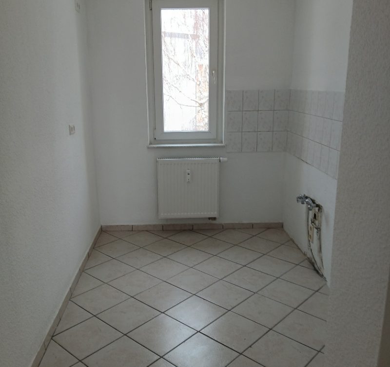 20260127_134326_resized